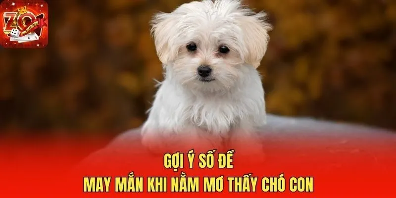 Gợi ý số đề may mắn khi nằm mơ thấy chó con