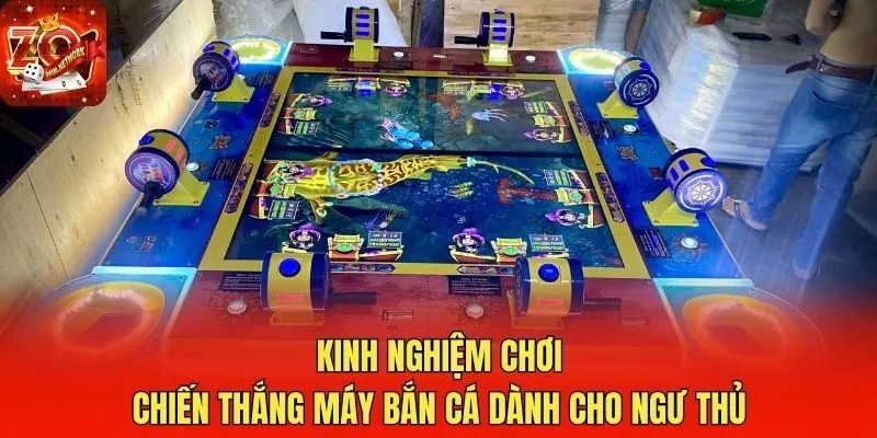 Kinh nghiệm chơi chiến thắng máy bắn cá dành cho ngư thủ